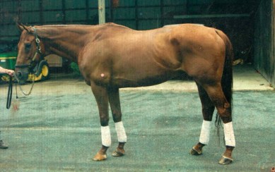 The day "Sunset Beach" became "Take A Chance"