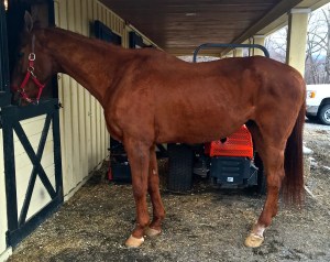 Standing on all fours!