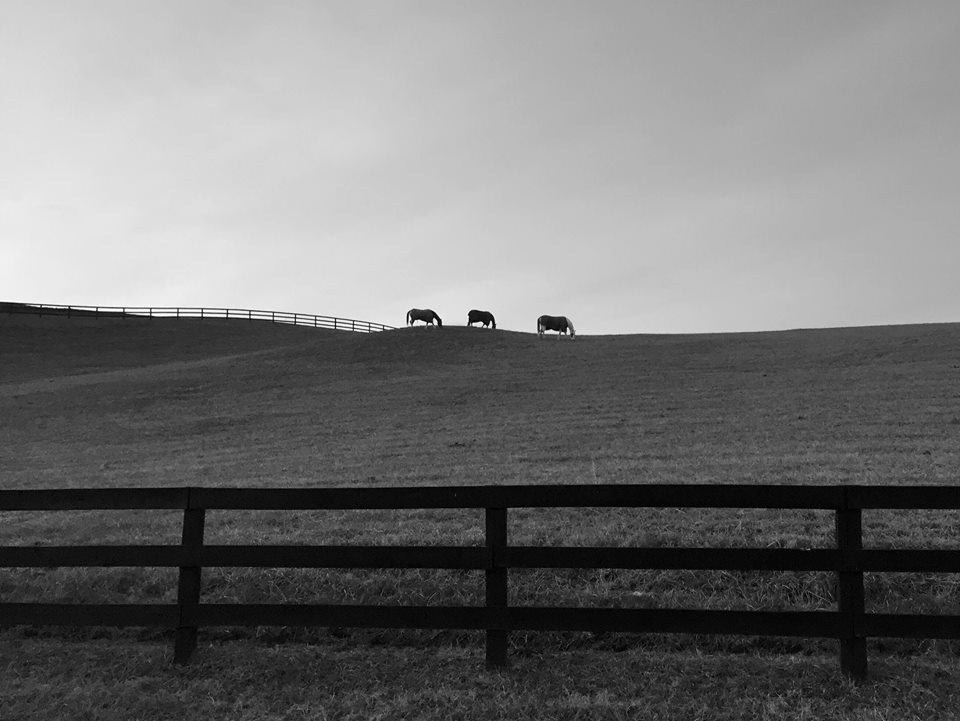 10898207_845793720754_2596206699824004135_n